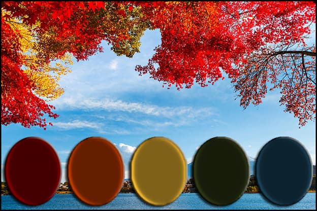 Color terminology chart